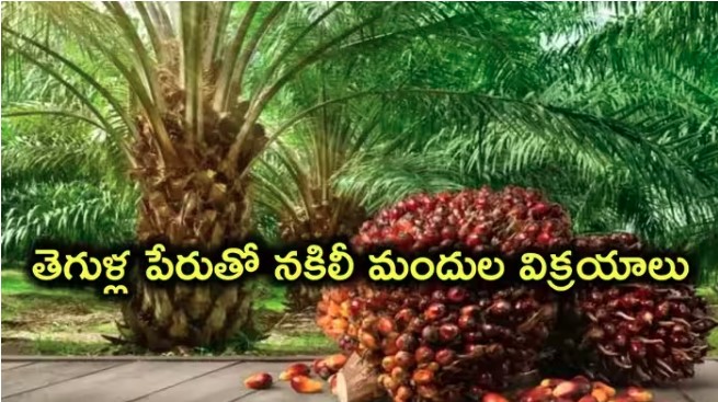 ఆయిల్‌పామ్ రైతులకు కేటుగాళ్ల వల.. తెగులు భయంతో నకిలీ మందుల విక్రయాలు!